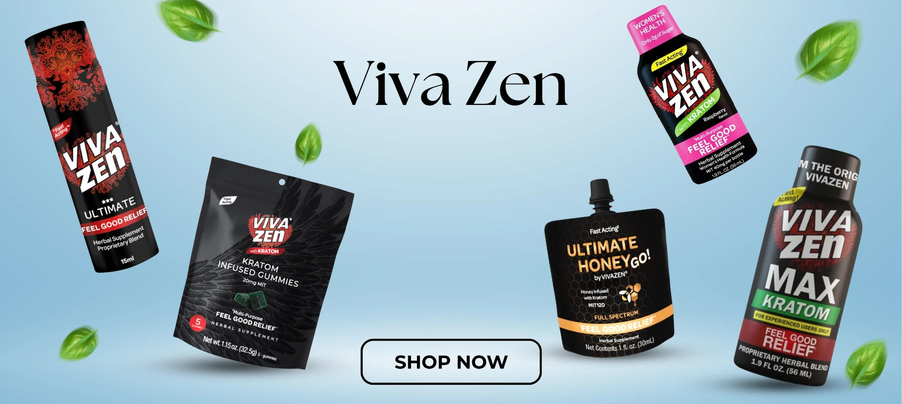 Viva Zen Banner Viva Zen Banner